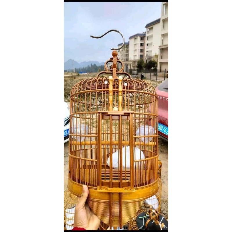 Sangkar Anis Cungkok d38cm T42cm