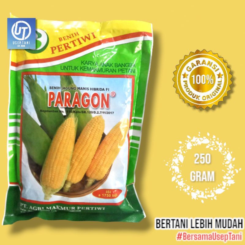 

BENIH JAGUNG MANIS F1 PARAGON KEMASAN 250 GRAM BENIH PERTIWI