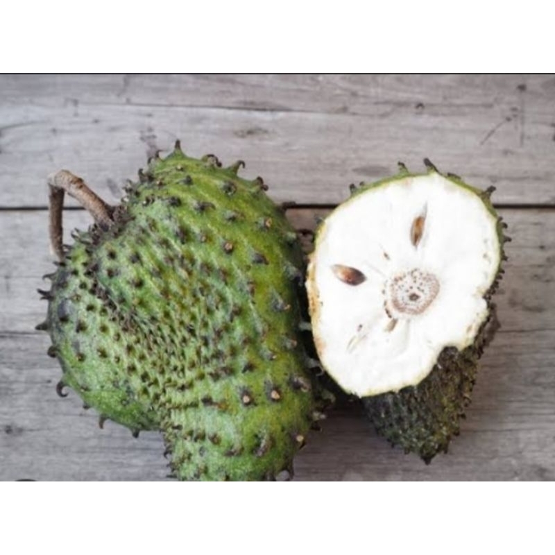 

Buah Sirsak muda 500gr (BISA COD)