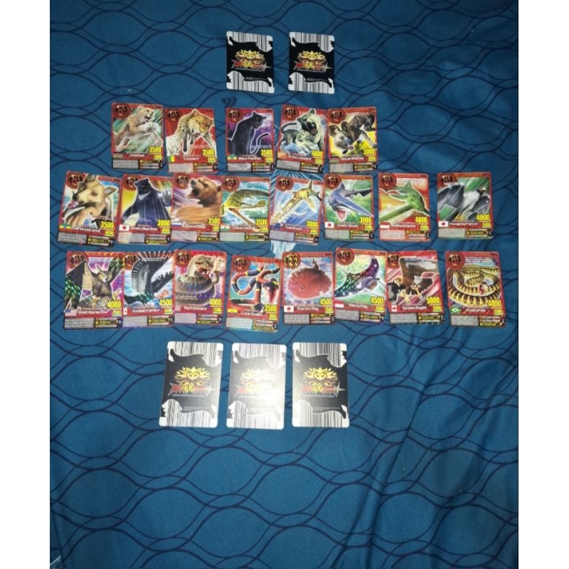 Animal Kaiser Plus Original