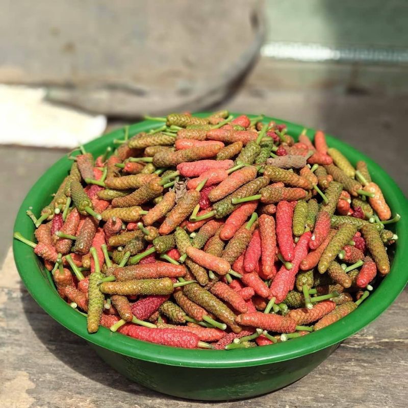 

Cabe Jamu/Jawa/Puyang Kering