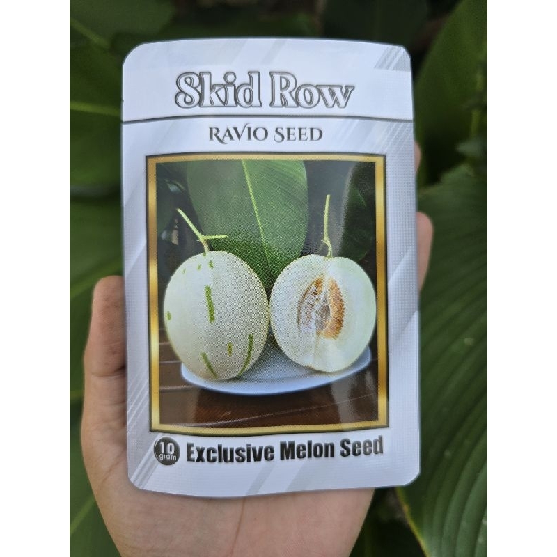 

Benih Melon Skid Row - Dalmatian