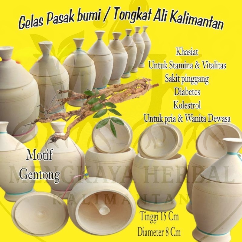 

Gelas Akar Pasak Bumi Kalimantan Motif Gentong – Herbal Vitalitas, Stamina, Sakit Pinggang & Diabetes
