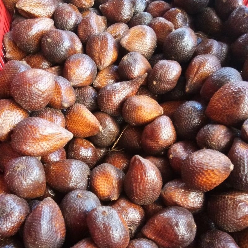 

salak pondo asli malang