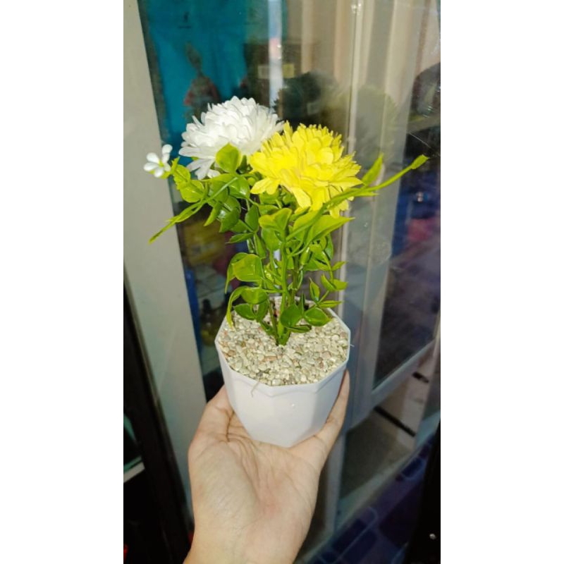 Dekorasi Hiasan Plastik Tanaman dan Vas Indoor Pot Plastik