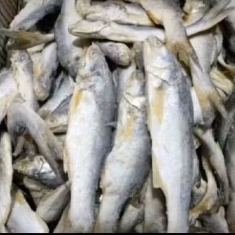 

ikan sinangin asli medan 250g