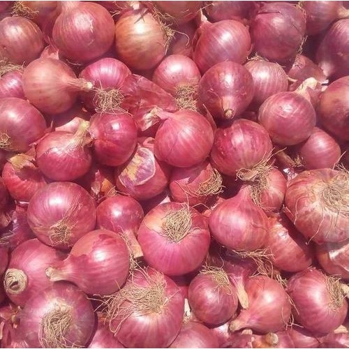 

INDIAN ONION -BAWANG MERAH INDIA- ( NASHIK - MAHARASHTRA ) - 01 KILO