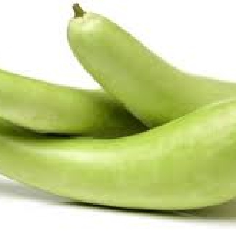 

LOUKI (LABU PUTIH LABUPANJANG) 1PCS