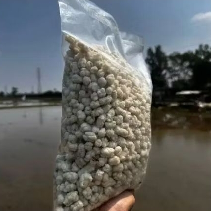 

tiktak pilus kencur renyah 1kg
