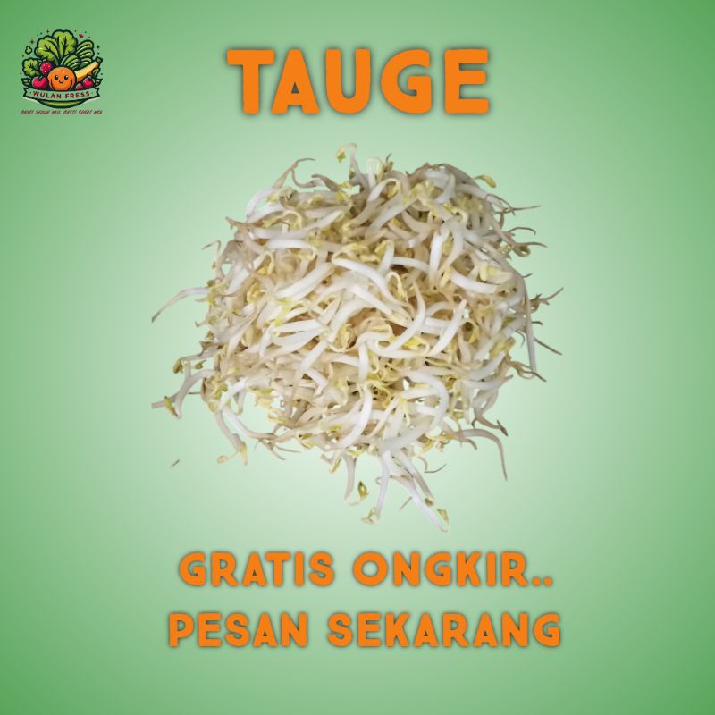 

SAYUR TAUGE