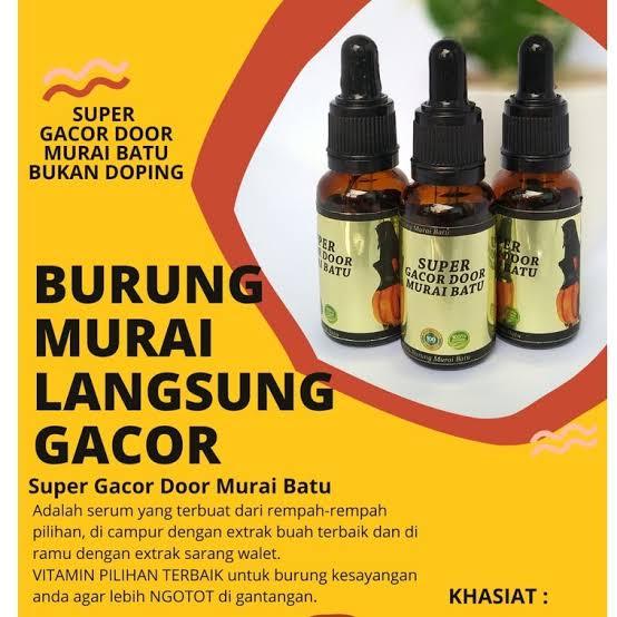 SUPER GACOR DOOR MURAI BATU VITAMIN PENGGACOR BURUNG MURAI JUARA GANTANGAN BEST SELLER