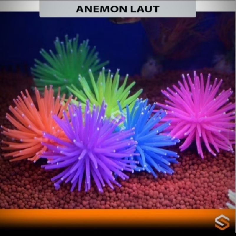 Hiasan Aquarium terumbu karang ornamen nyiur cantik Large