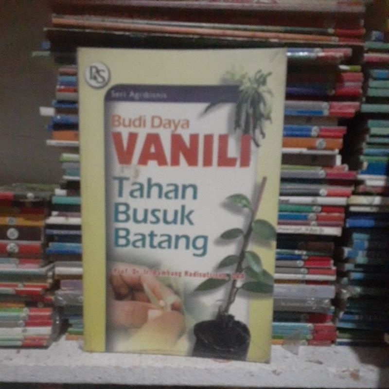 budidaya vanili batang busuk