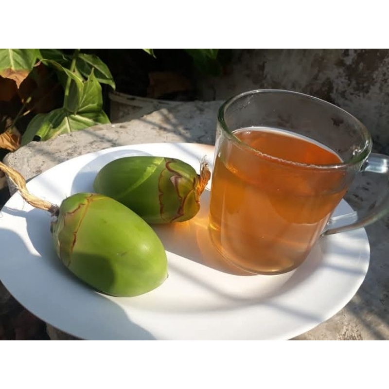 

Cengkir Kelapa / Bluluk Kelapa / Biruluk 10 Biji