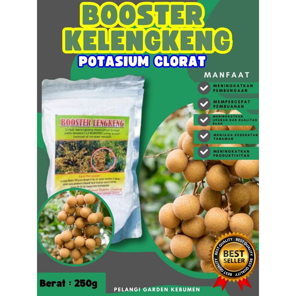 BEST SELLER  Booster Kelengkeng Kclo 3 Murni, Booster Kelengkeng Kclo 3, Booster Kelengkeng Kclo