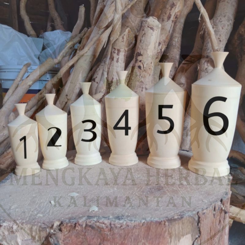 

Gelas Pasak Bumi Asli Akar Nomor 6 Tinggi 19 cm Herbal Stamina Pria Bukan Batang