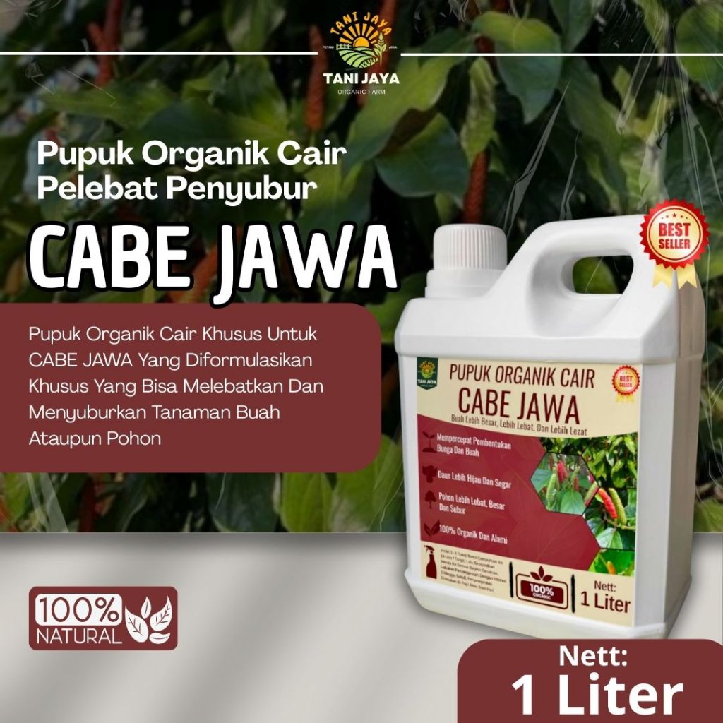 Pupuk Cabe Jawa  Booster Pelebat Buah Cabe Jawa Pupuk Cabe Jamu Cepat Berbuah Lebat Cepat Besar