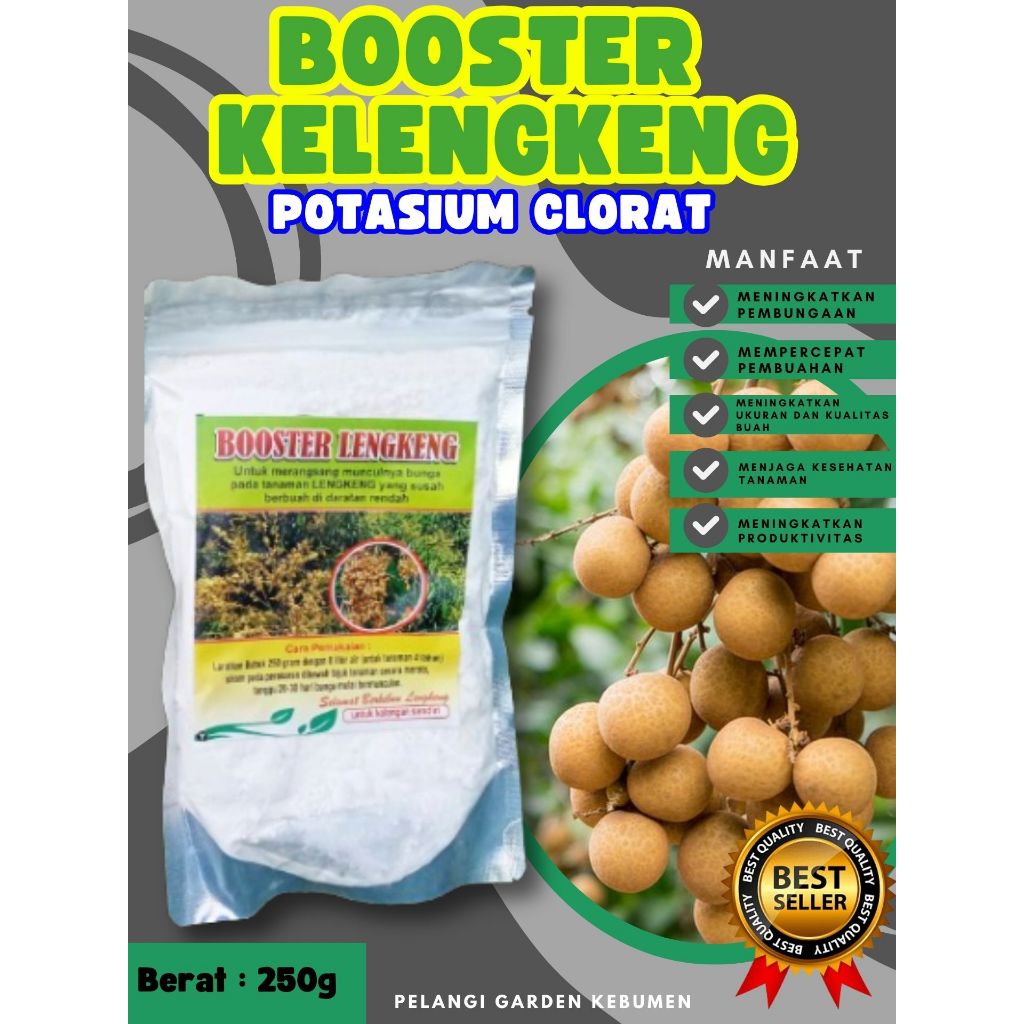 KUALITAS TERBAIK  Booster Kelengkeng Matalada Berbuah, Booster Kelengkeng Merah Cangkok Berbuah, Boo