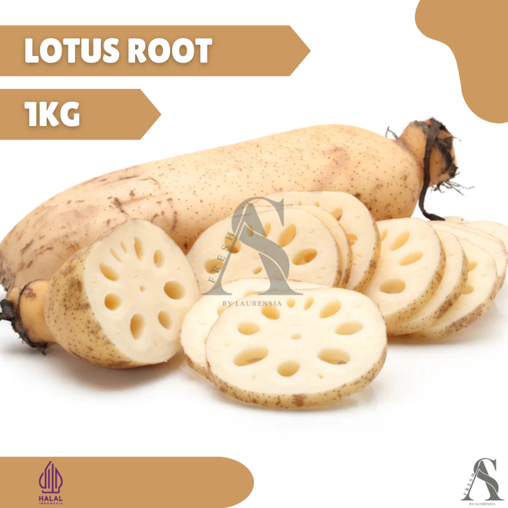 

AS FRESH Lotus Root Import 1 kg - kirim instan / same day