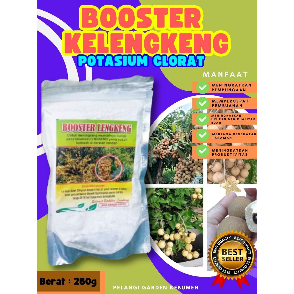 TERBAIK  Boster Kelengkeng Merah Cangkok Berbuah, Boster Kelengkeng Matalada, Boster Kelengkeng Mera