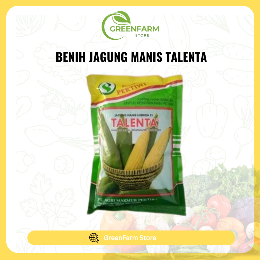 

TALENTA PERTIWI benih jagung manis 250gram Berkualitas