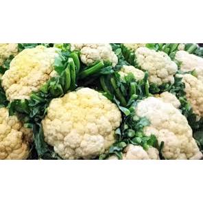 

KEMBANG KOL BUNGKUL BLOOMKOL GROSIR 1KG TERMURAH BISA KIRIM SELURUH INDONESIA