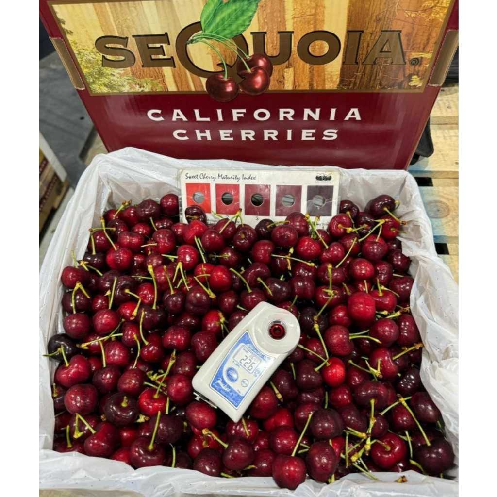 

Cherry Fresh Impot | California Cherries 1 Kg