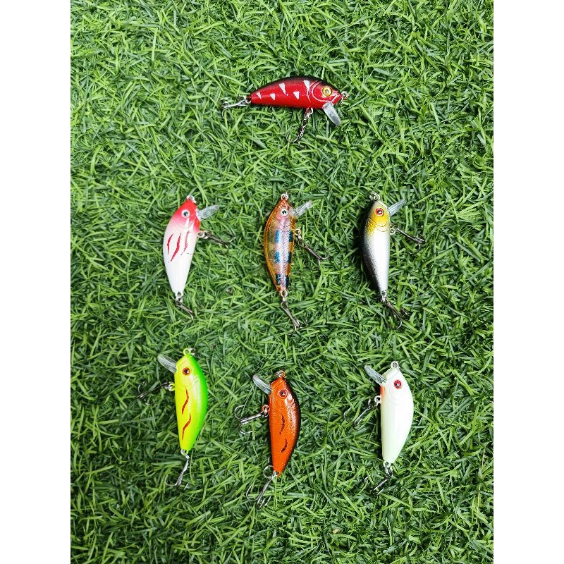 Umpan tiruan ikan hampala dan ikan gabus