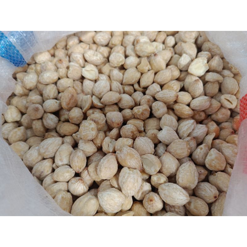 

kemiri bulat/medan 1 kg /500 gr/250 gr/100 gr
