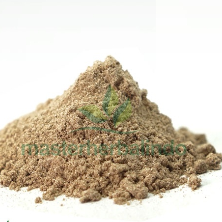 Ekstrak Ginkgo Biloba suplemen daya ingat sirkulasi darah nutrisi otak 1kg