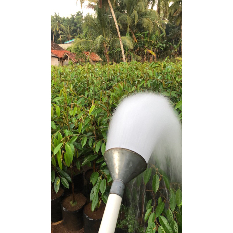 Alat Siram Tanaman Bibit / Cepor