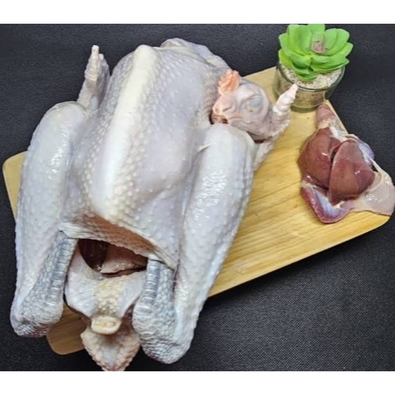

ayam kampung fresh