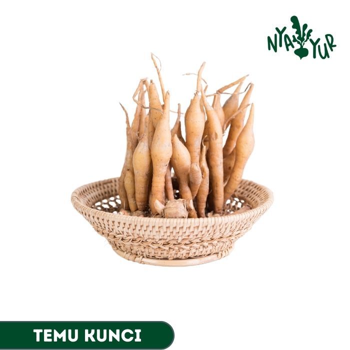 

INSTAN - Temu Kunci 250gr