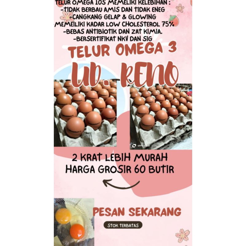

PROMO TELUR OMEGA 3 2 KRAT/60 BUTIR