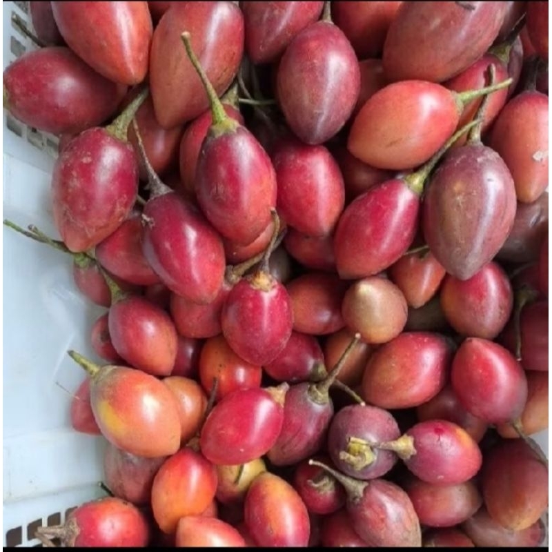 

Terong Belanda (500gr-1000gr)