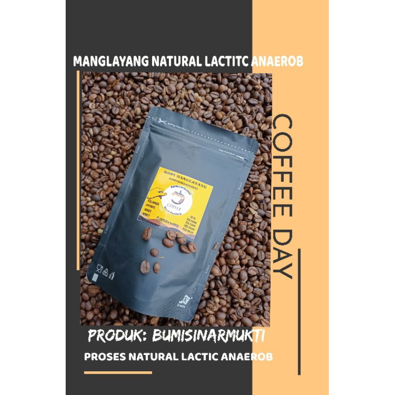 

BEST SELLER KOPI ARABIKA MANGLAYANG NATURAL LACTIT ANAEROB COD BAYAR DITEMPAT