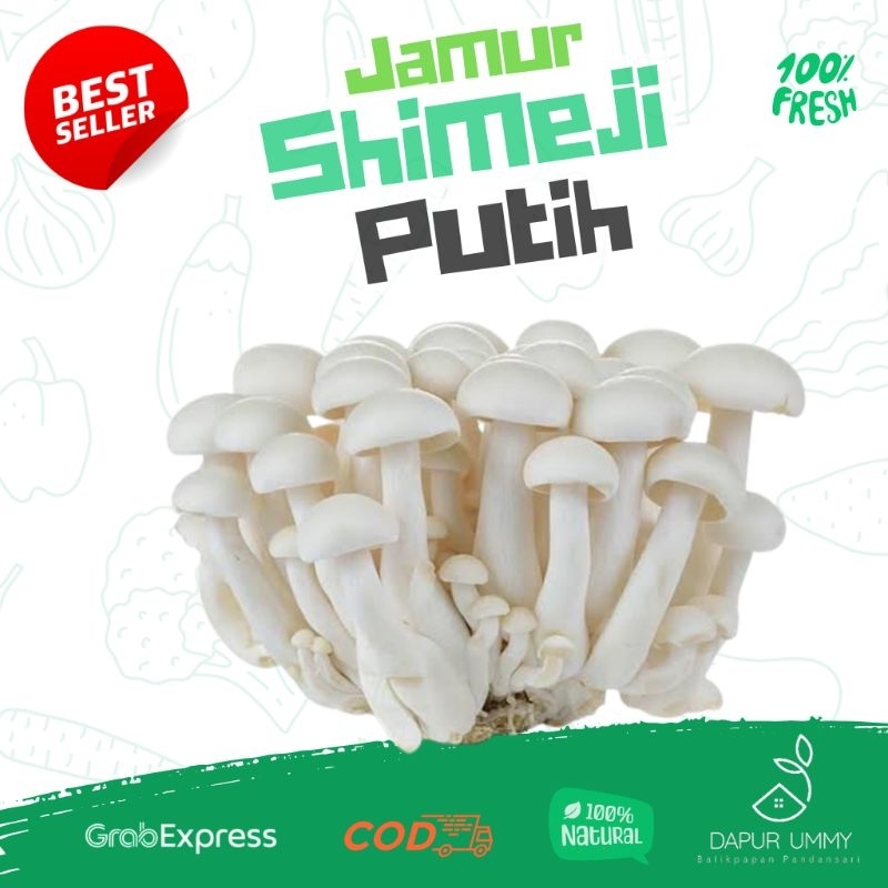 

SHIMEJI • Jamur Shimeji Putih 150g