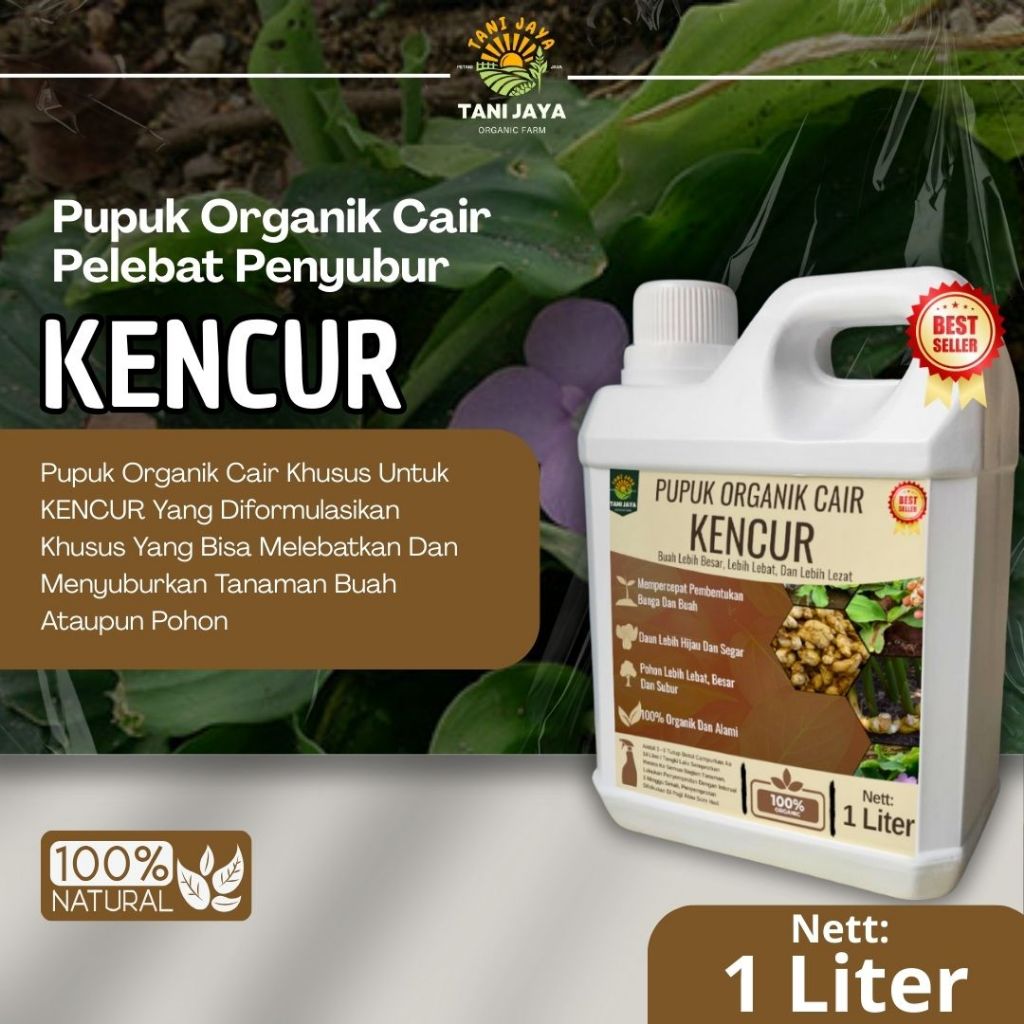 Pupuk Kencur Penyubur Tanaman Booster Kencur  Cepat Berbuah LEbat Dan Besar Pupuk Pemacu Tumbuh