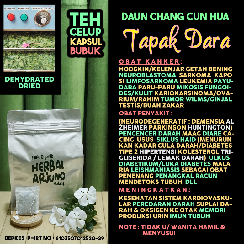 

Dehydrated Dried Teh Celup Daun Tapak Dara Chang Chun Hua Obat Kanker Hodgkin Kelenjar Getah Bening Leukemia Darah Tumor Wilms Ginjal Paru Paru Payudara Rahim Testis Kulit Ovarium Diabetes Kolosterol Hipertensi Alzheimer Parkinson Demensia Herbal Alami