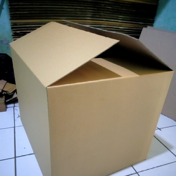 

kardus paket rsc
