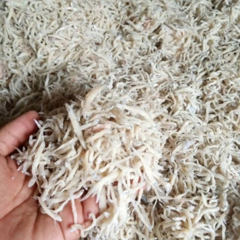 

TERI NASI MEDAN ASIN 250 gram fresh