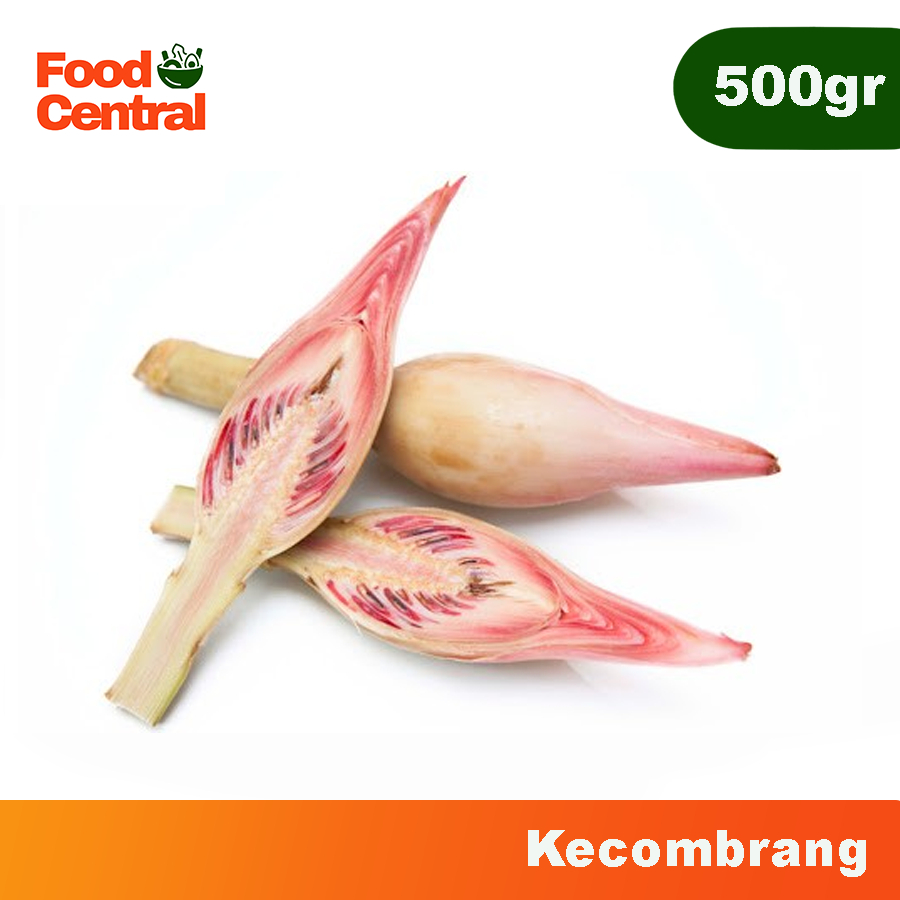 

[INSTAN] Kecombrang 500gr