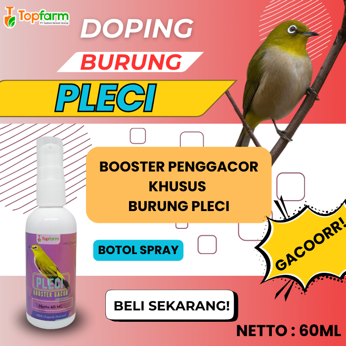 Vitamin Pleci Cepat Gacor 60ML/ Obat Penggacor Pleci/ Doping Pleci Gacor Bocor/ Vitamin Burung Pleci