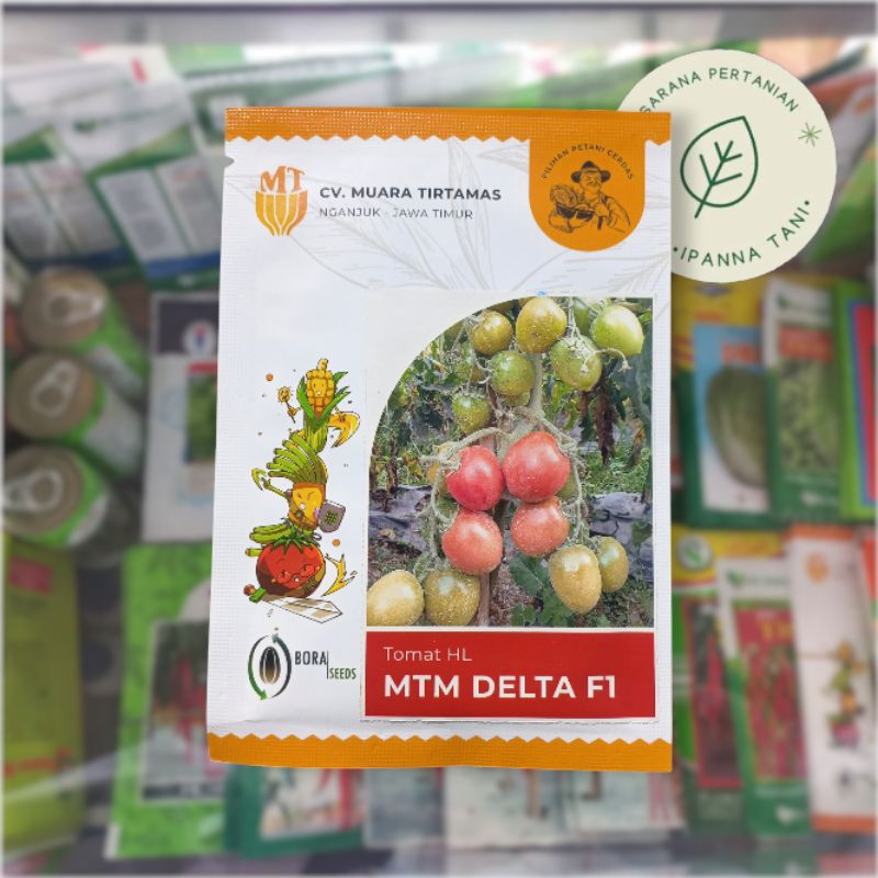 BENIH MTM DELTA F1 10GR – BENIH SAYURAN TOMAT F1 | BIBIT SAYURAN TOMAT F1