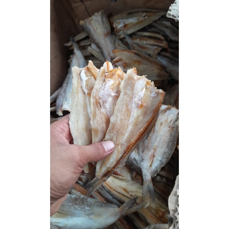 

ikan asin palu