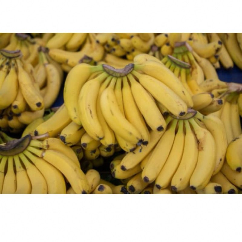 

Pisang barangan Ukuran Sedang