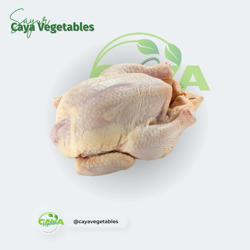 

Ayam Karkas Broiler Segar 400gr - 1.1kg Ayam Potong | CayaVegetables
