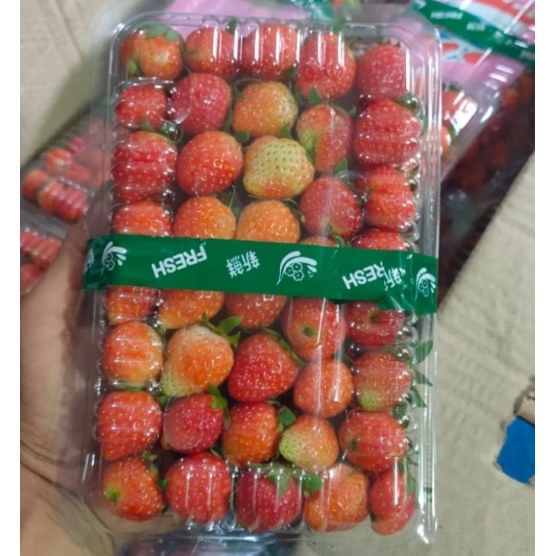 

Strawberry packing mika besar