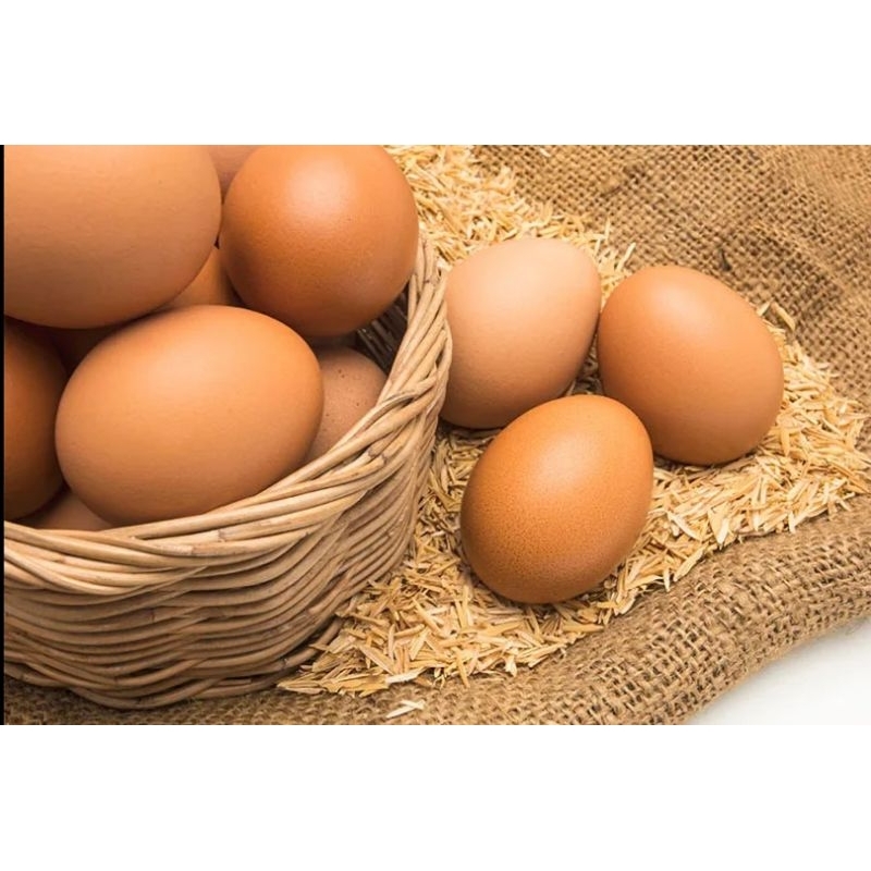 

Telur Ayam Negeri per kg kualitas premium
