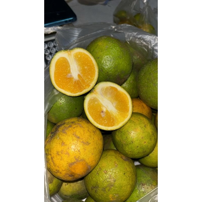 

Jeruk baby java | jeruk sunkist | jeruk iris | jeruk mpasi | manis seger berat 1kg (ukuran campur)